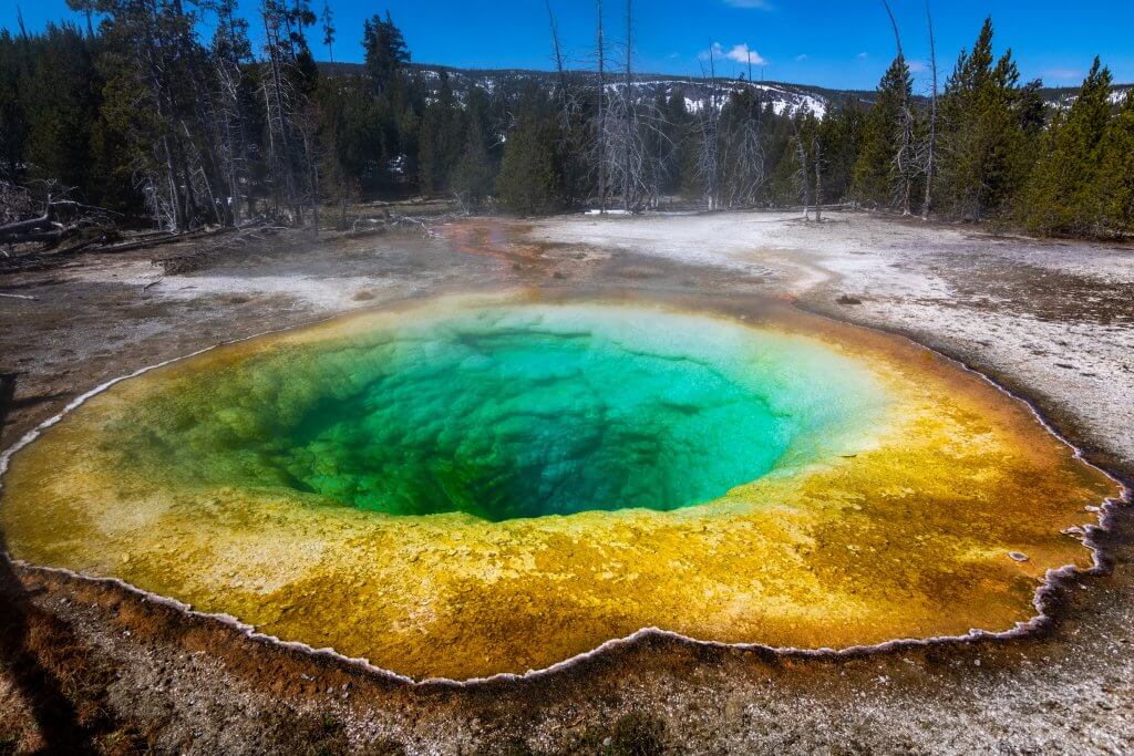 close up shot of vibrantly colorful morning glory pool in yellowstone national park