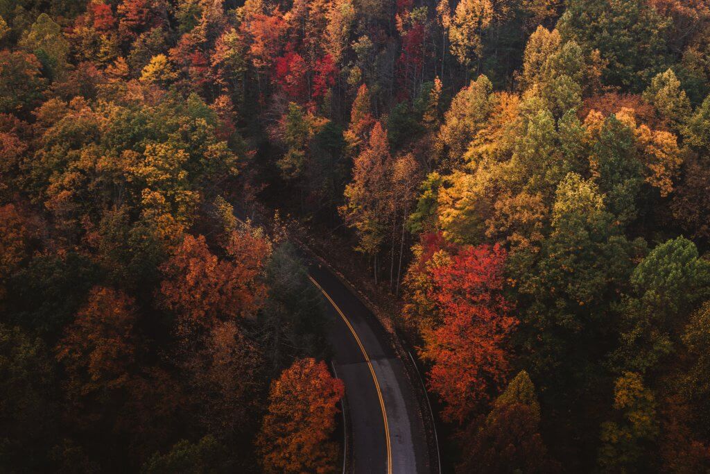 Aerial photo of a road winding through colorful autumn trees in Great Smoky Mountains National Park