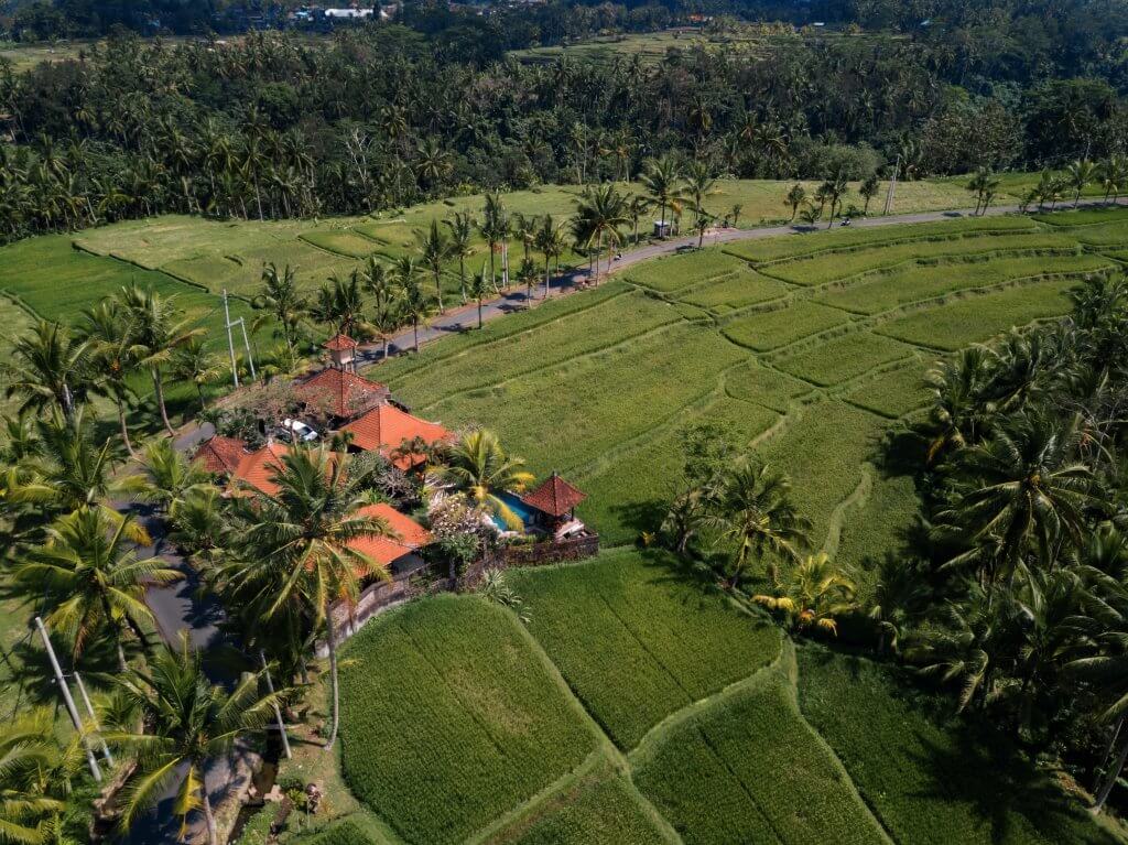 drone shot of a bali villa surrounded by rice fields