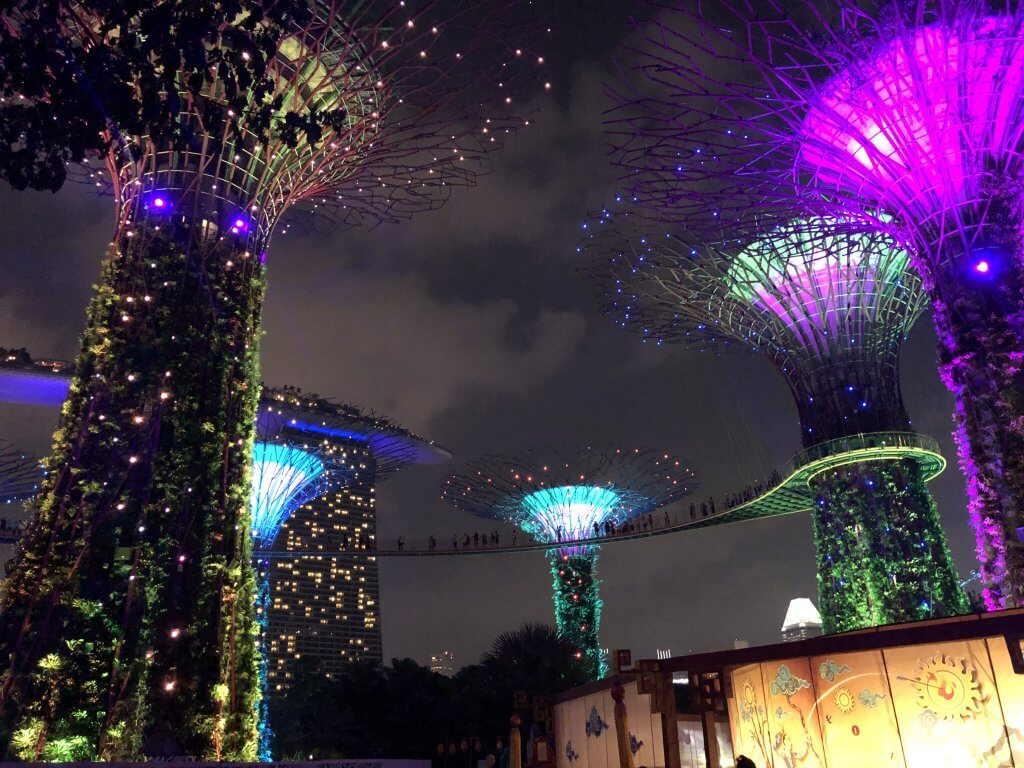 Singapore's supertrees lit up with neon lights at gardens by the bay light show