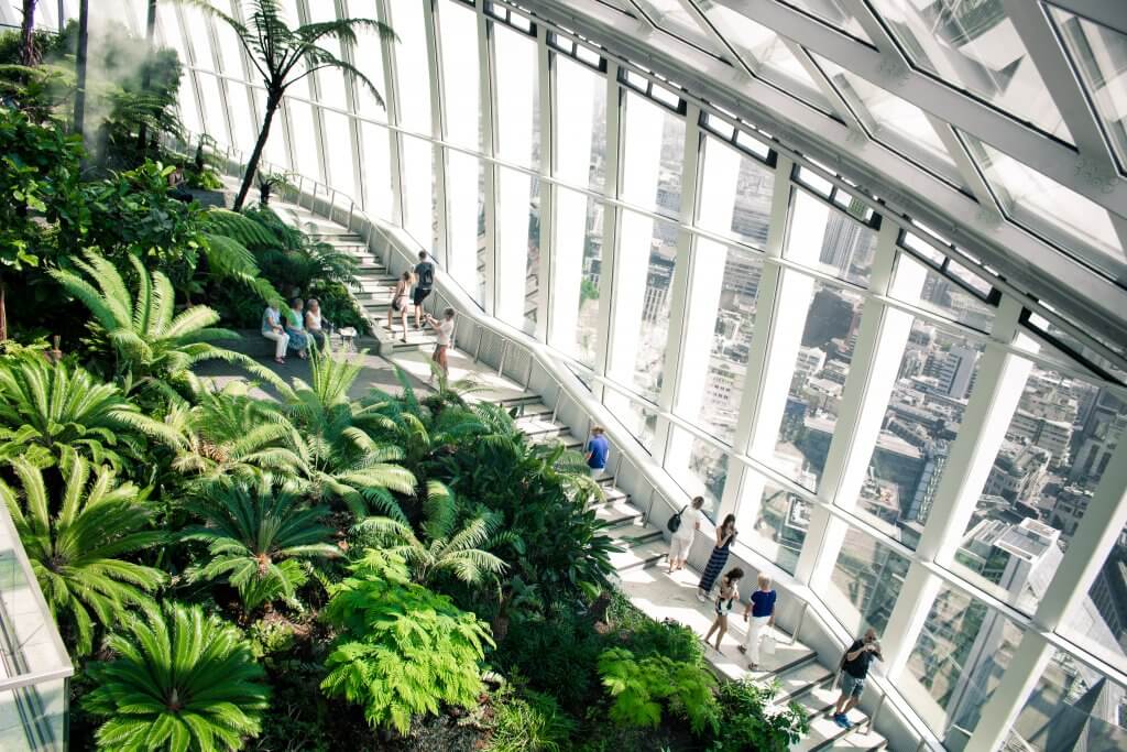 plants and windows inside London's skygarden