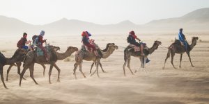 Camel Riding Photo