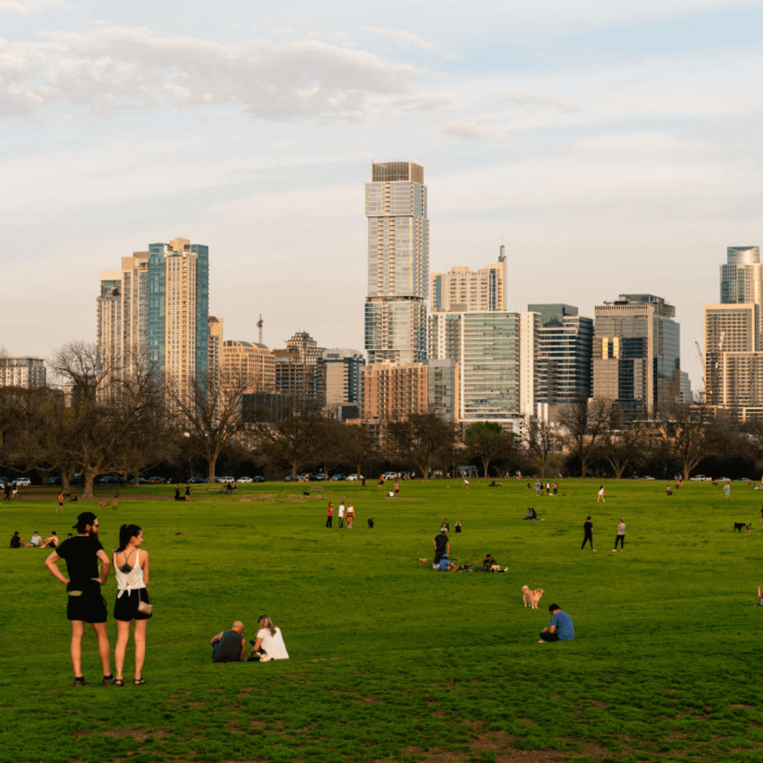 picnic in austin