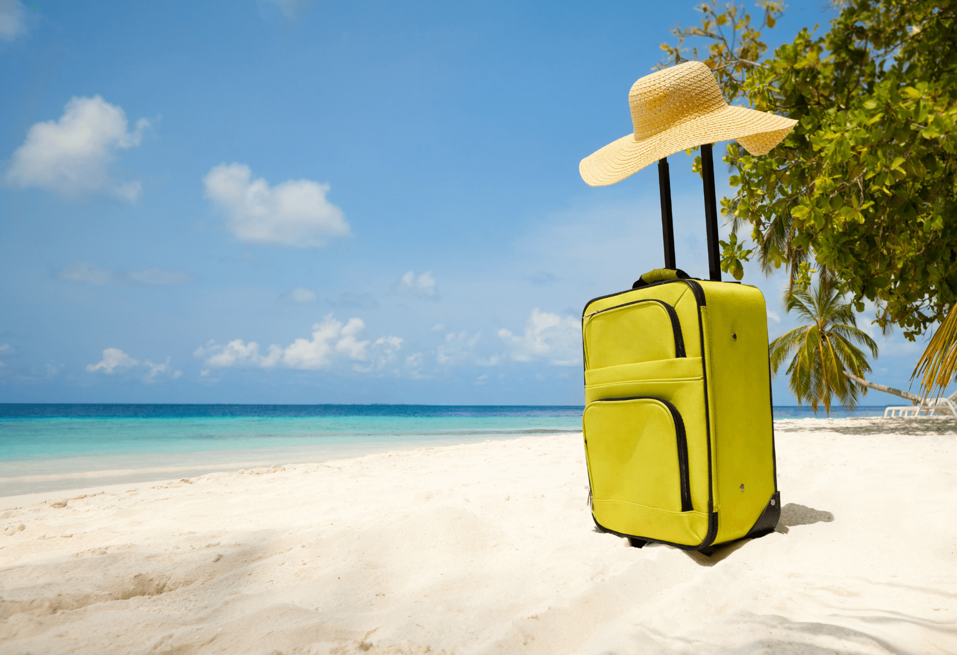 NBC Charlotte - How the Heat is Changing the Way People Plan Summer Vacations | Dollar Flight Club