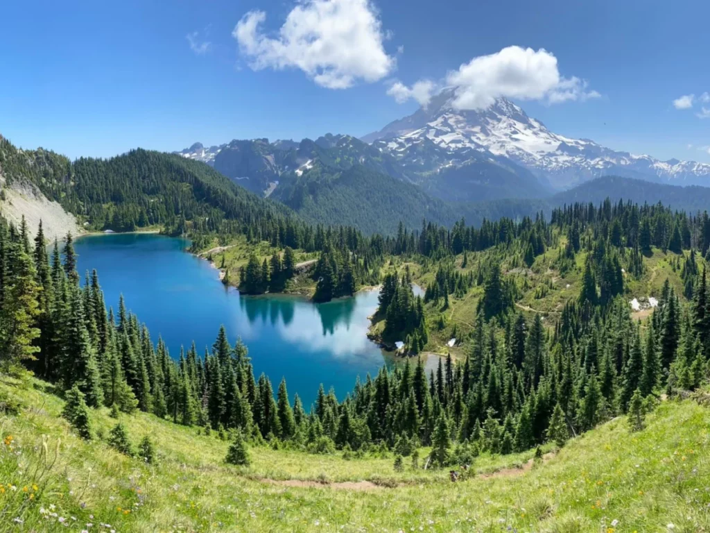 best hikes in the US, Mount Rainier Wildflower Trails, Washington