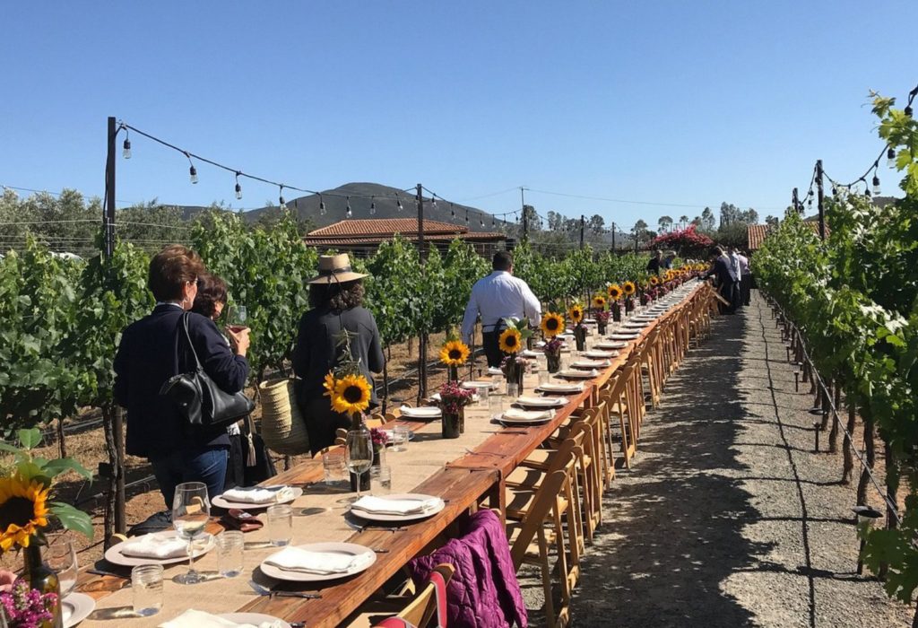 Lechuza, Valle de Guadalupe wineries