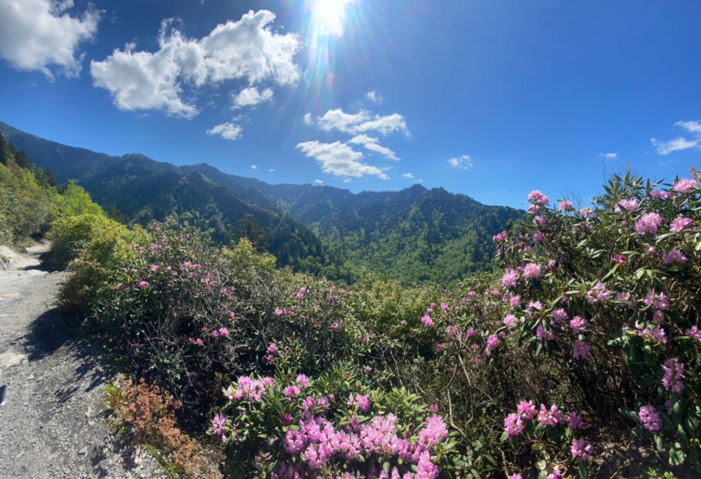 Great Smoky Mountains Wildflower Trails, North Carolina and Tennessee