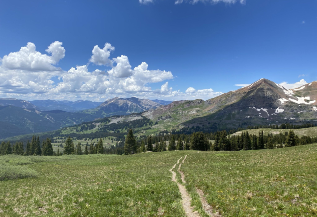 Wildflower Trail at Crested Butte, Colorado