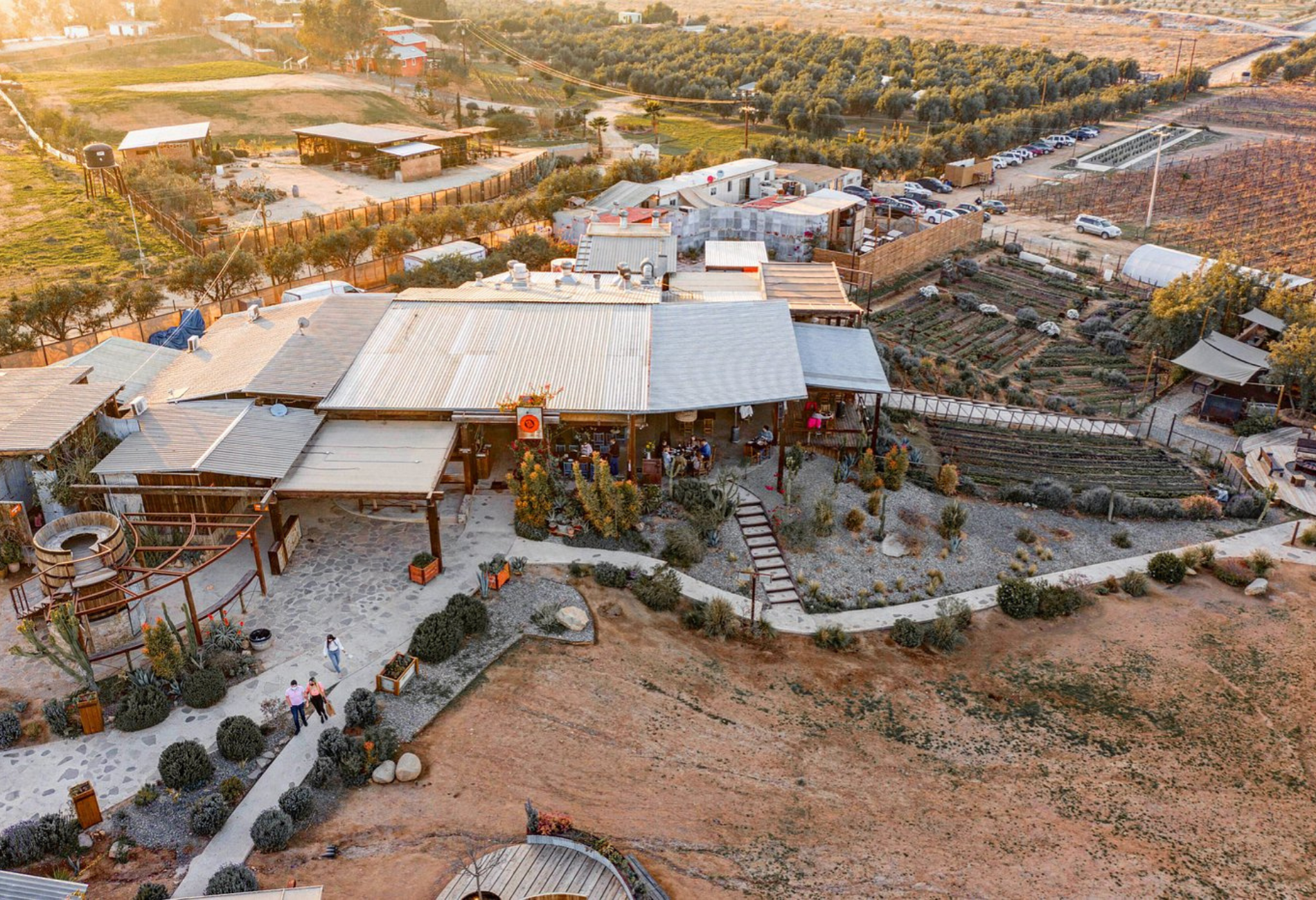 Just two hours from San Diego, Valle de Guadalupe Baja California is home to some of Mexico’s best wineries and gourmet restaurants.