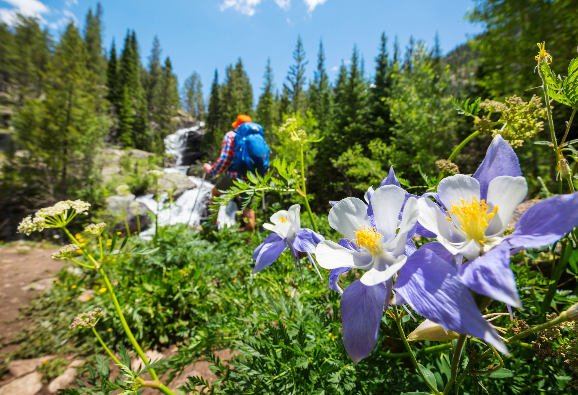 best hikes in the us