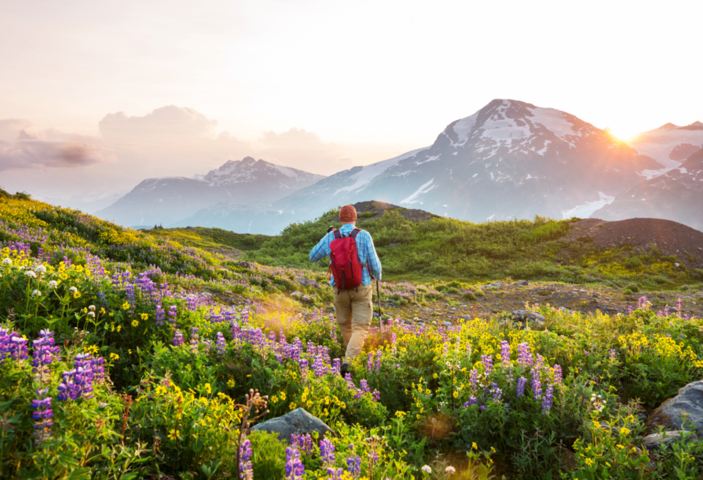 going hiking is a great option for fun outdoor activities that will keep you healthy