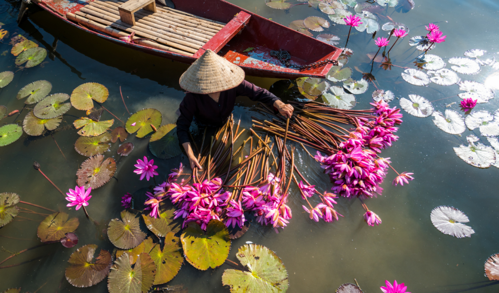 vietnam