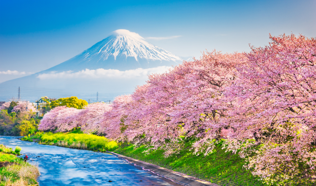 japan spring