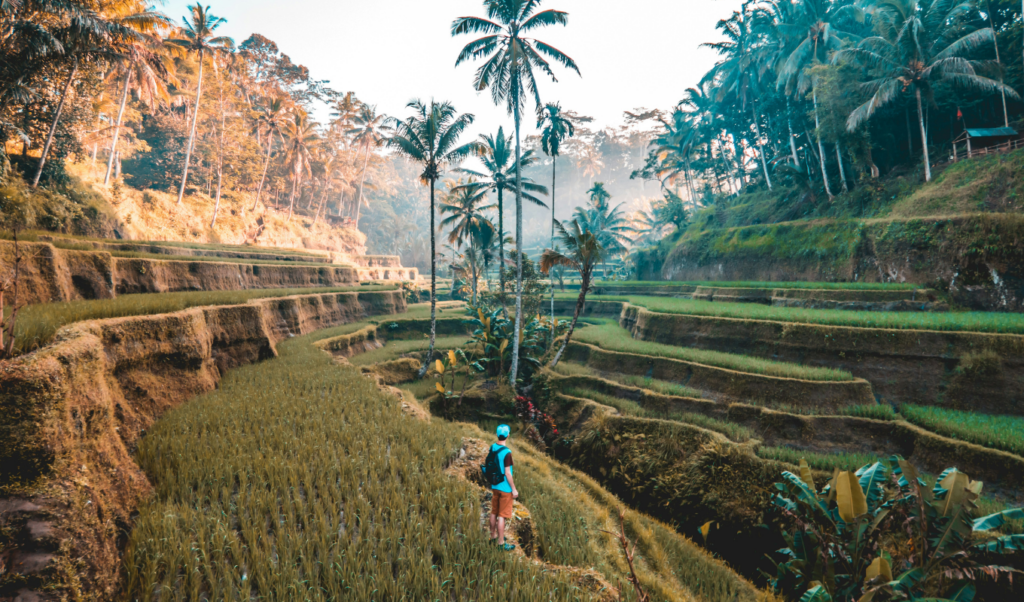 bali