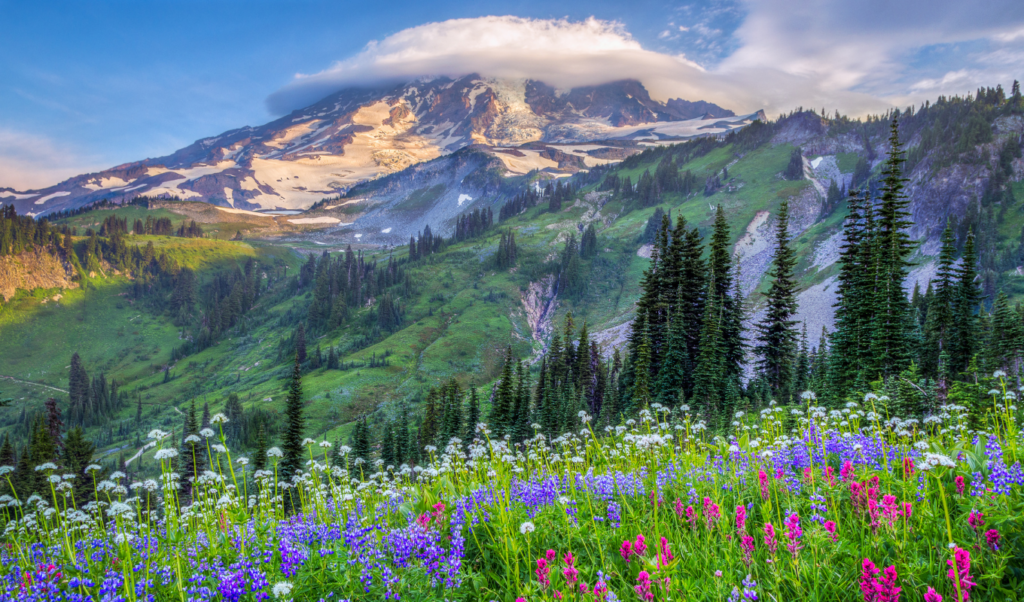 mount rainier national park