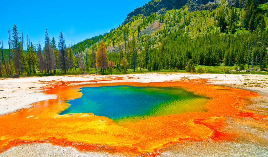 yellowstone national park
