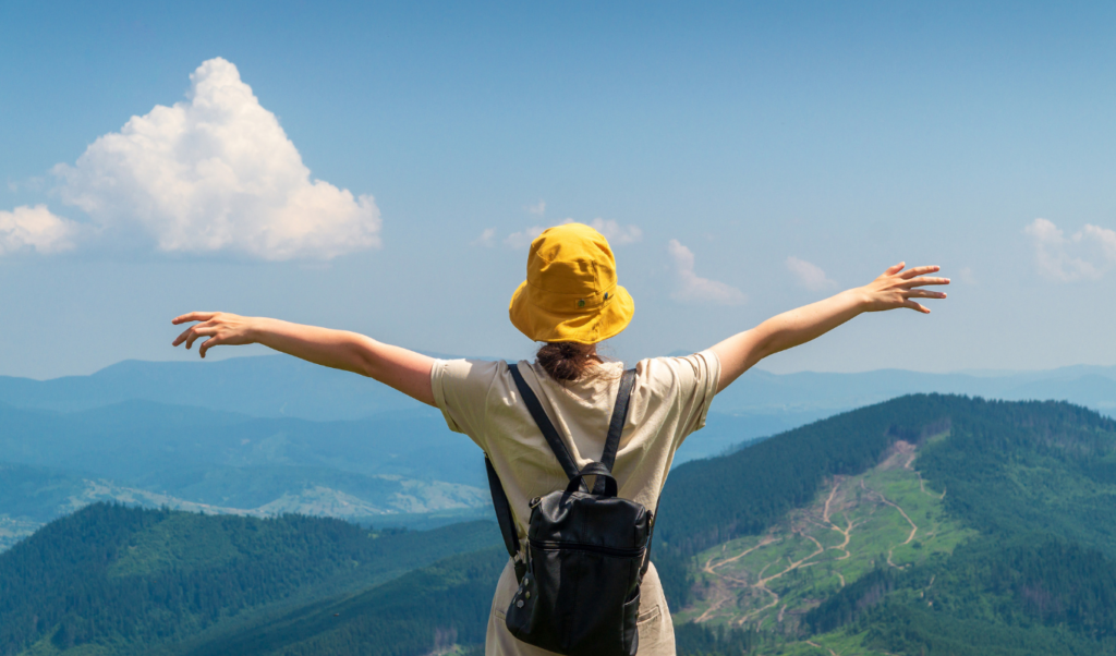 happy traveler