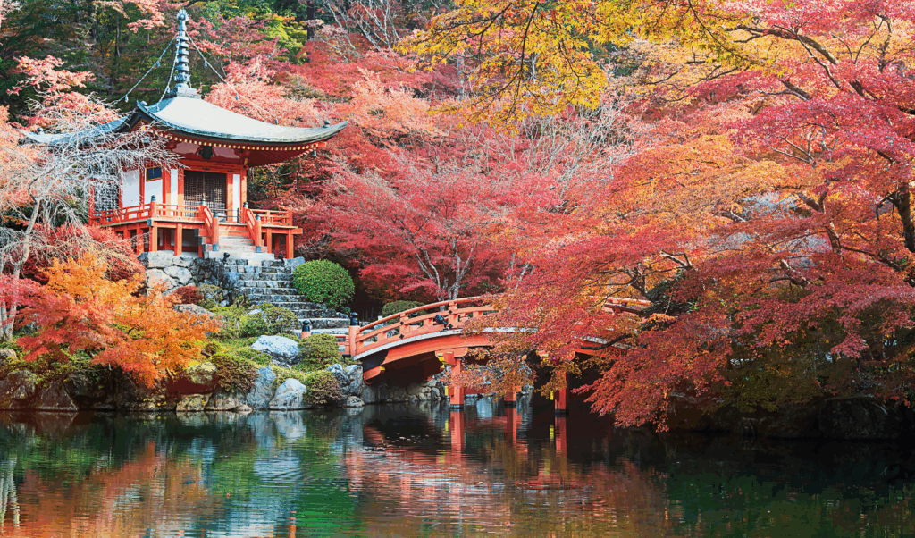 japan fall