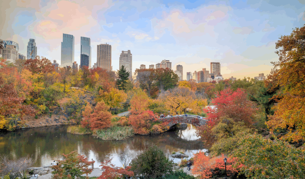 new york fall