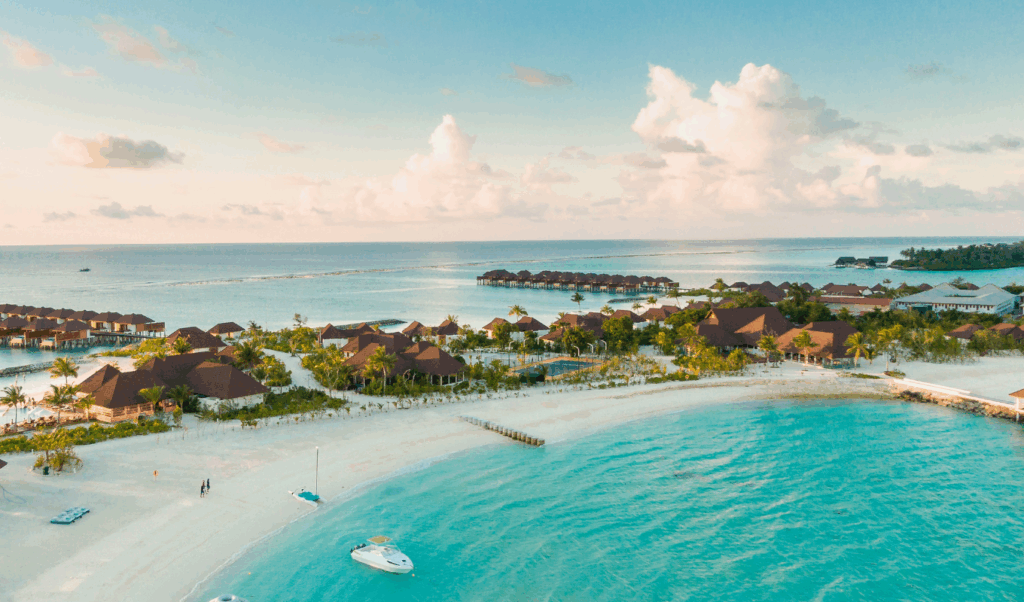caribbean