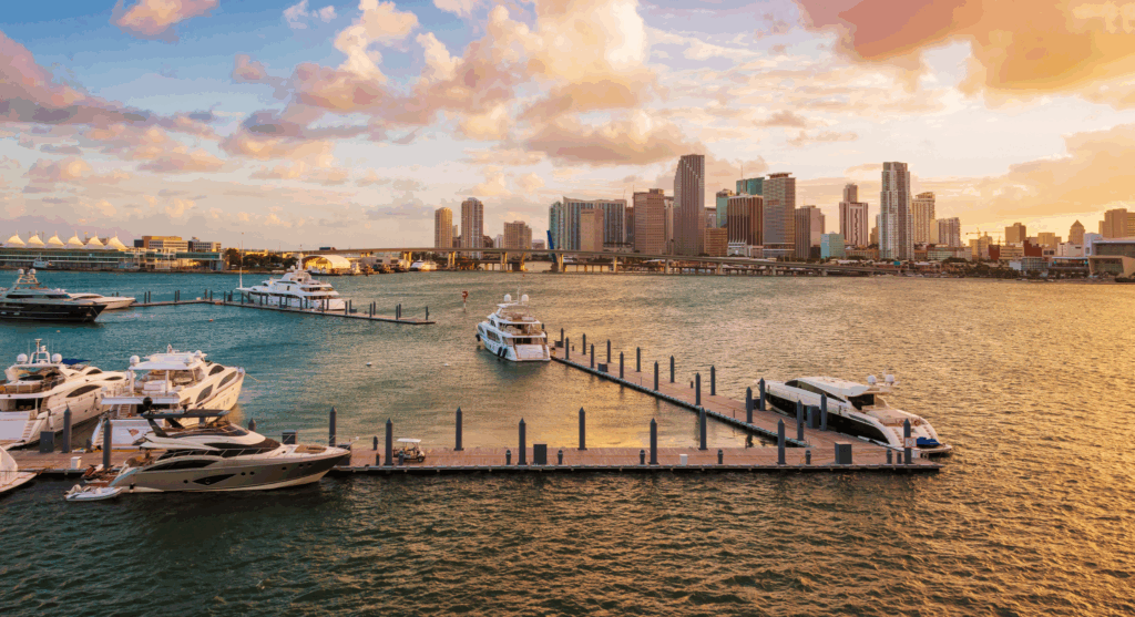 Miami Dollar Flight Club