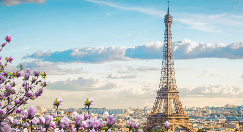 Paris Dollar Flight Club