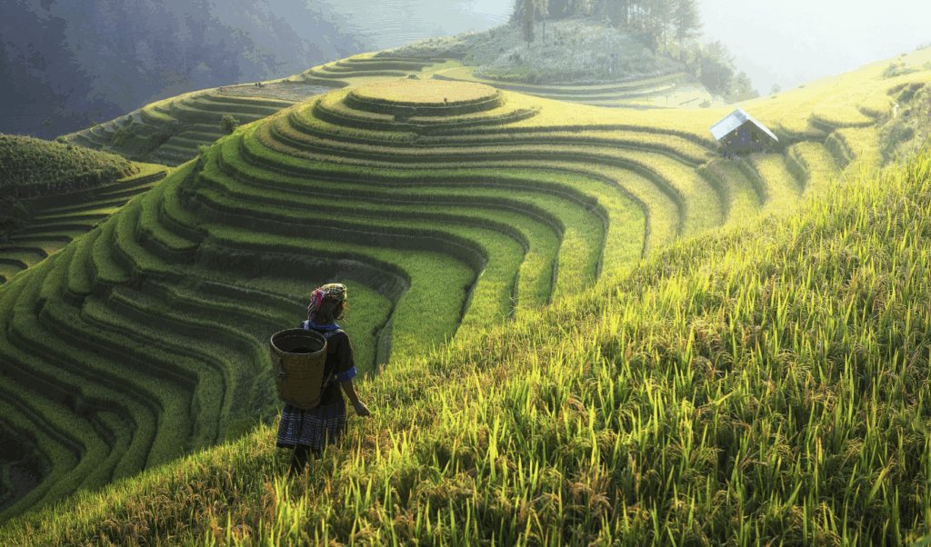vietnam