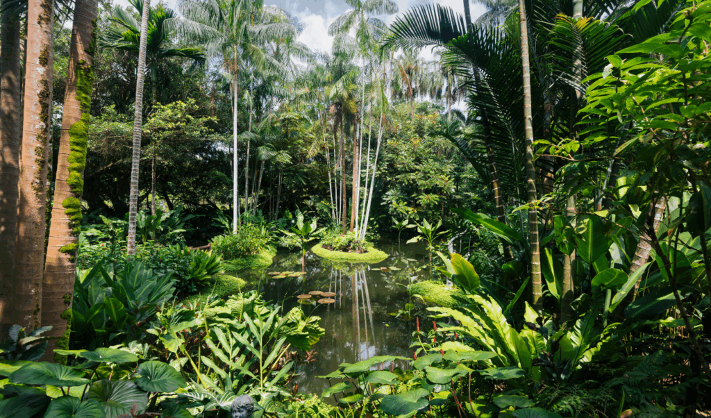 garden