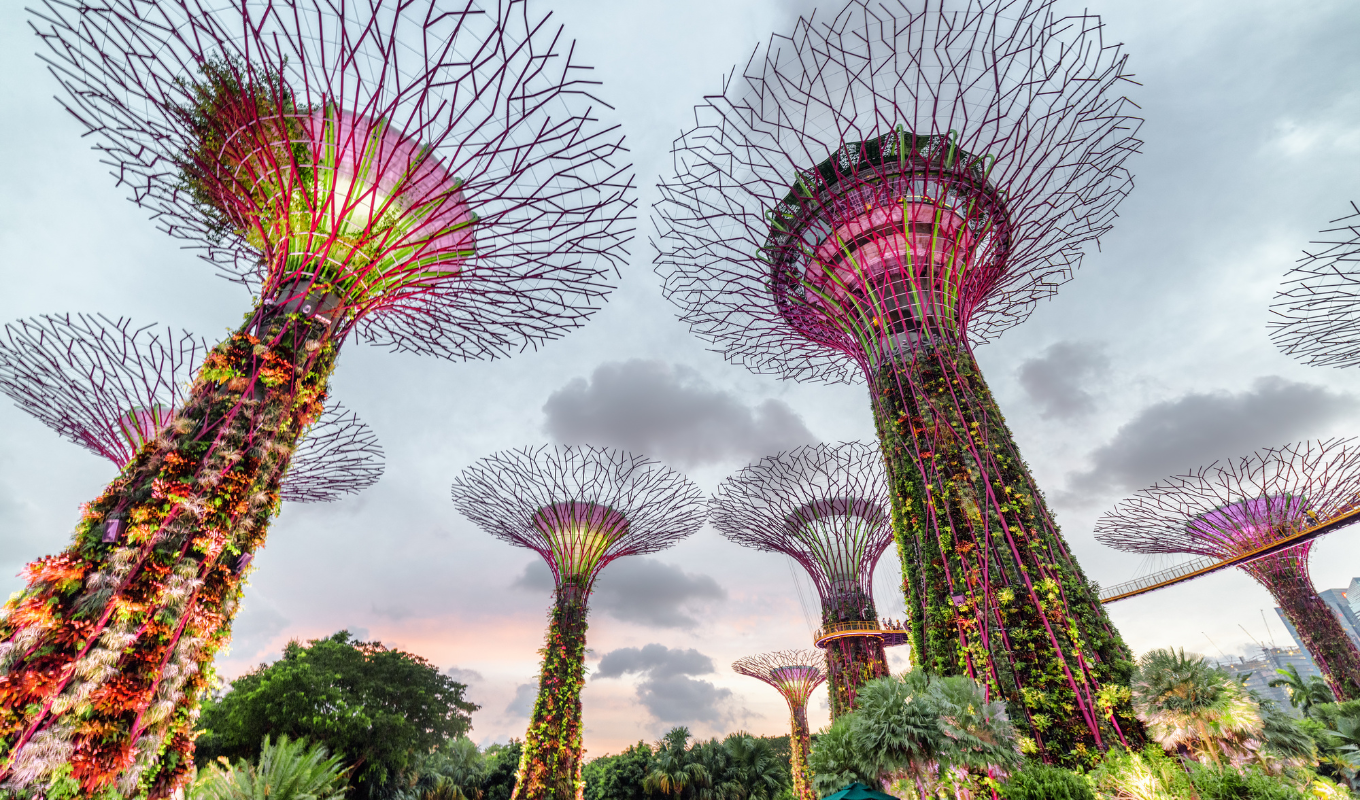 singapore