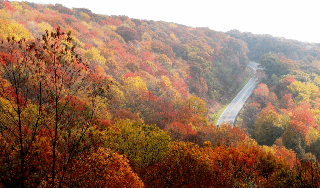 fall