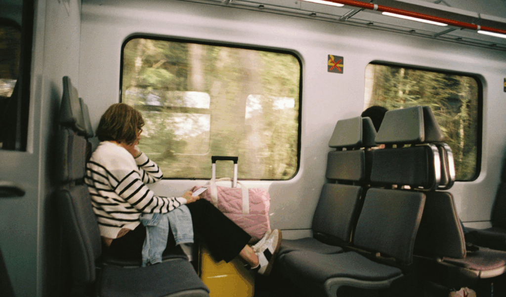 traveler
