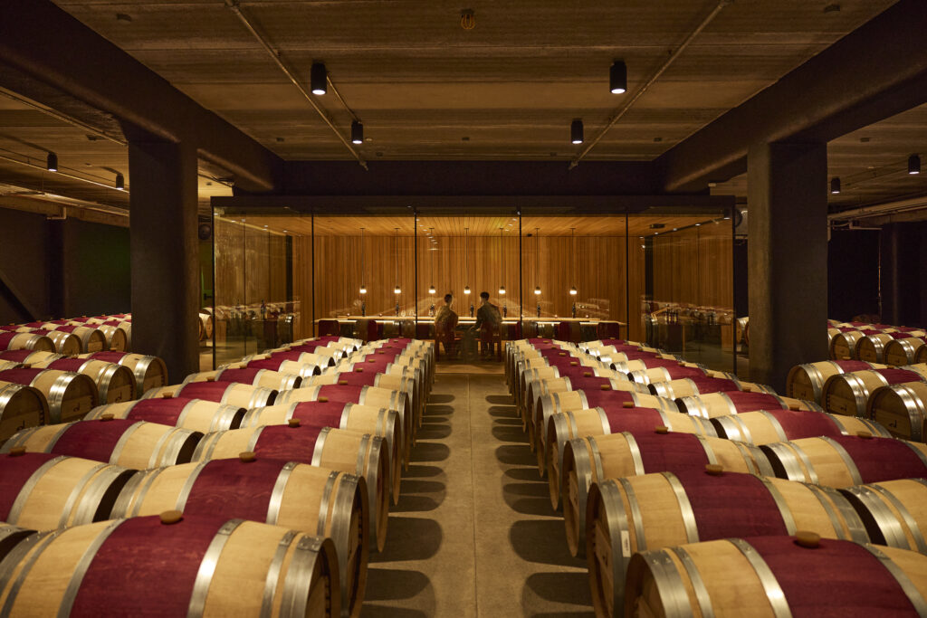 Mondavi winery barrels