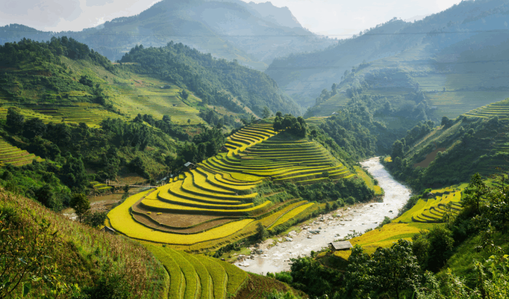 vietnam