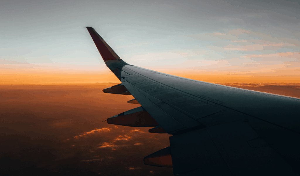 flight