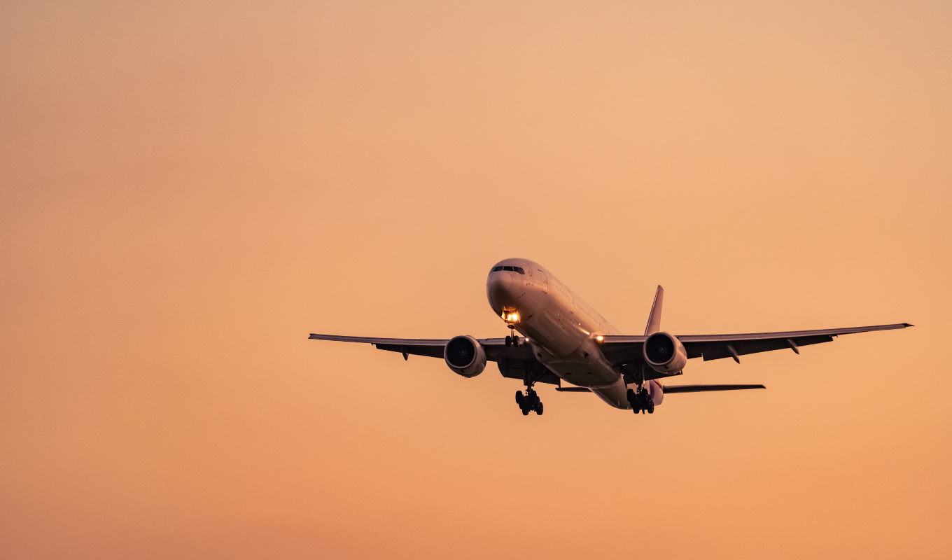 flight