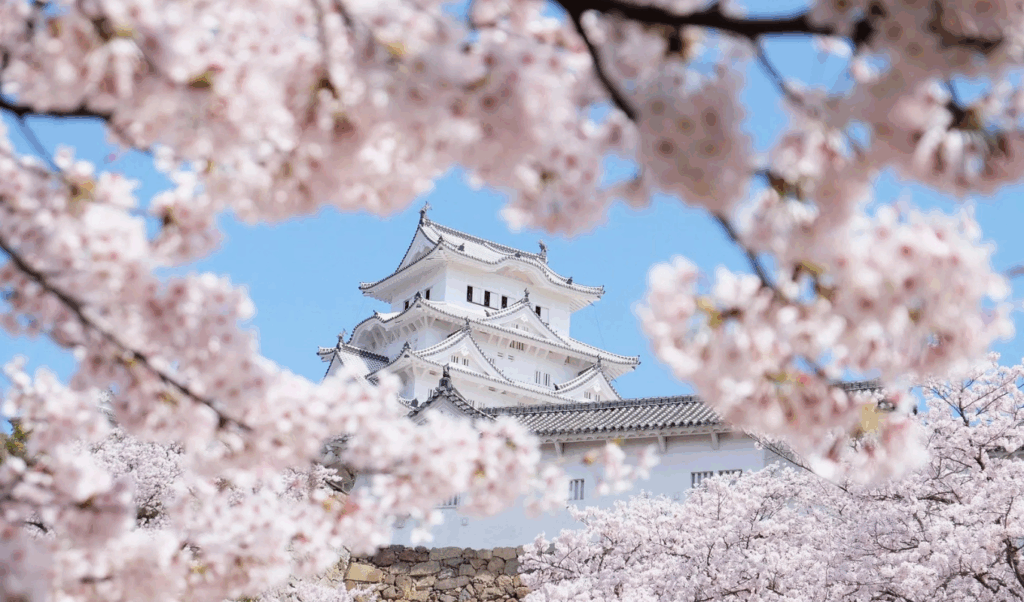 spring