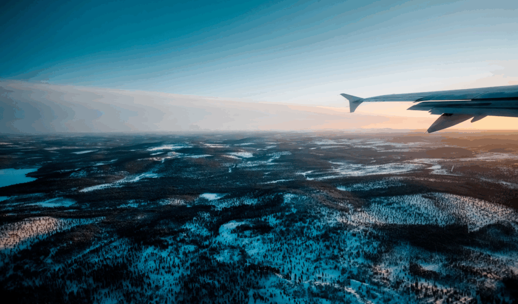 flight