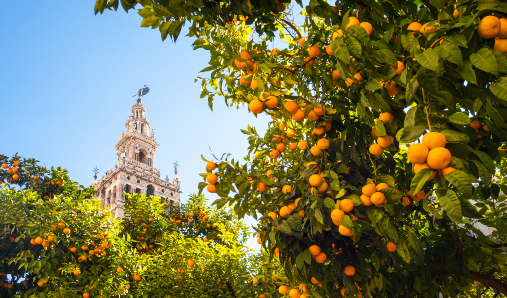 seville