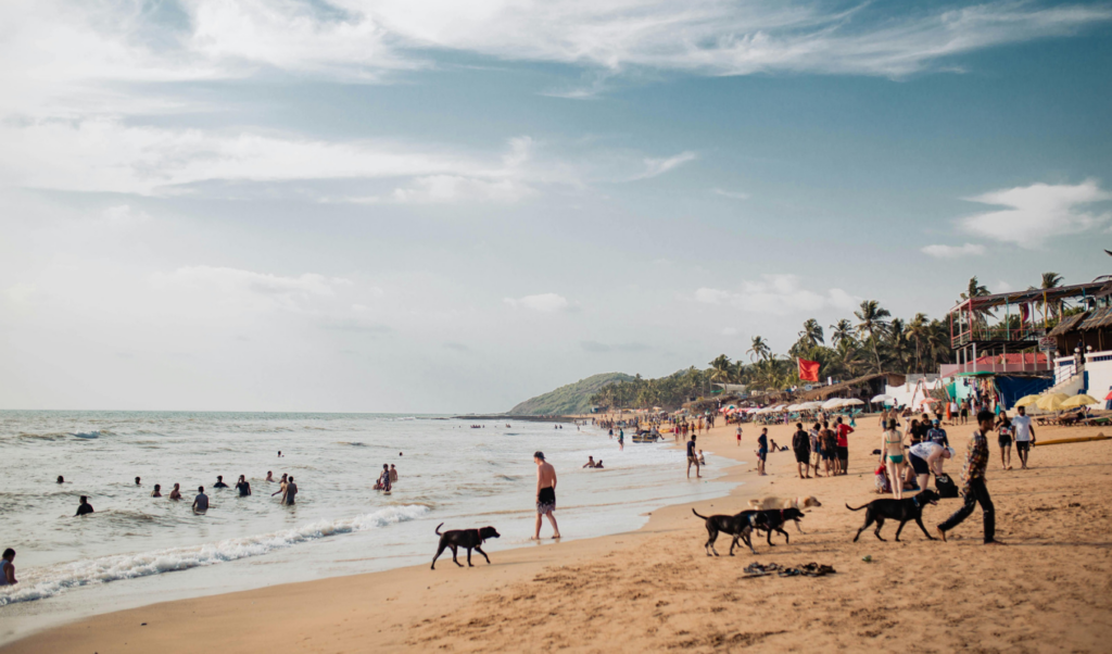 goa